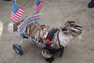 Support our troops finally coming home