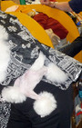 Backstage Beauty at Westminster Dog Show