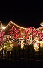 Glitz-A-Thon: Holiday houses in Dyker Heights, Brooklyn