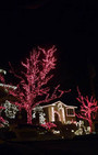 Glitz-A-Thon: Holiday houses in Dyker Heights, Brooklyn