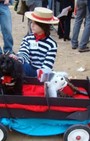 Halloween dog costumes for our furry fashionistas