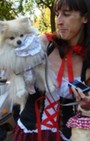 Halloween dog costumes for our furry fashionistas