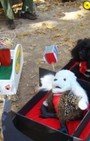 Halloween dog costumes for our furry fashionistas