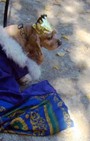 Halloween dog costumes for our furry fashionistas