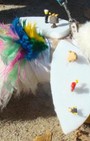 Halloween dog costumes for our furry fashionistas