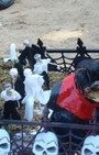 Halloween dog costumes for our furry fashionistas