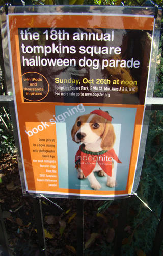 Doggy Style: Halloween Parade is Top Dog