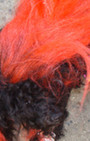 Doggy Style: Halloween Parade is Top Dog