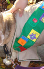 Doggy Style: Halloween Parade is Top Dog