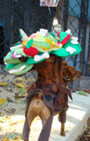 Doggy Style: Halloween Parade is Top Dog