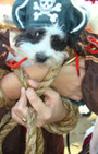 Doggy Style: Halloween Parade is Top Dog