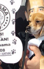 Doggy Style: Halloween Parade is Top Dog