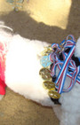Doggy Style: Halloween Parade is Top Dog