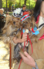 Doggy Style: Halloween Parade is Top Dog