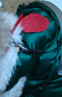 Doggy Style: Halloween Parade is Top Dog