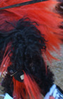 Doggy Style: Halloween Parade is Top Dog