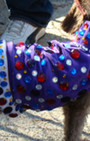 Doggy Style: Halloween Parade is Top Dog