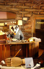 Fantastic Mr. Fox pops up in Bergdorf Goodman Men's Holiday Windows