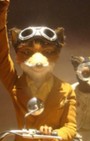 Fantastic Mr. Fox pops up in Bergdorf Goodman Men's Holiday Windows