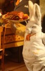 Fantastic Mr. Fox pops up in Bergdorf Goodman Men's Holiday Windows