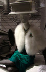 Retail Remedy: NY Christmas Windows, Stylish and Artful Elegance