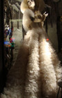 Retail Remedy: NY Christmas Windows, Stylish and Artful Elegance