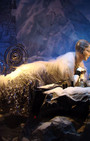 Retail Remedy: NY Christmas Windows, Stylish and Artful Elegance