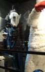 Retail Remedy: NY Christmas Windows, Stylish and Artful Elegance