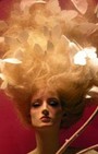 Retail Remedy: Paris Christmas Windows Tap Karl Lagerfeld