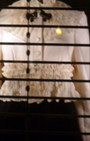 Retail Remedy: Window Shop Chicago, Oak Street Windows