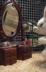 Village Pet Store and Charcoal Grill - Banksy, with a side of fashion disturbia