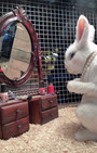 Village Pet Store and Charcoal Grill - Banksy, with a side of fashion disturbia