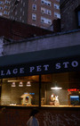 Village Pet Store and Charcoal Grill - Banksy, with a side of fashion disturbia