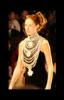 Zang Toi