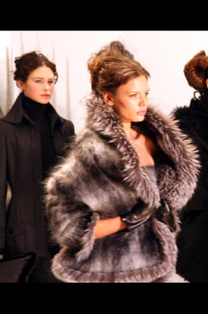 Zang Toi