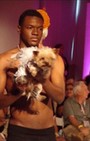 Pet Fashion Week - dog fashion show