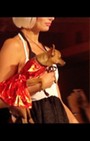 Pet Fashion Week - dog fashion show