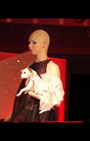 Pet Fashion Week - dog fashion show