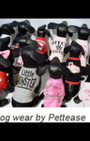 Pet Fashion Week - dog fashion show