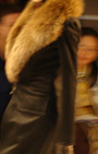 Zang Toi 