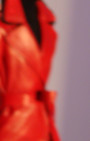 Zang Toi 
