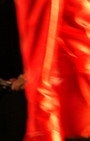 Zang Toi 