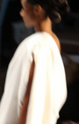 Zang Toi 