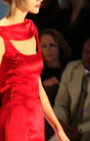 Zang Toi 