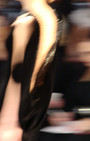 Zang Toi 