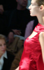 Zang Toi 