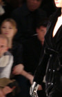 Zang Toi 