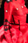 Zang Toi 