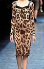 Dolce and Gabbana