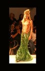 Zang Toi